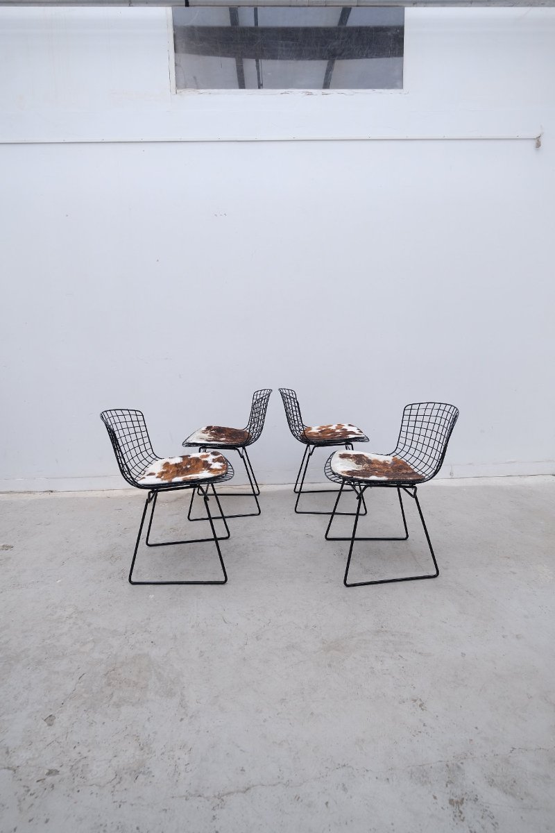 Ensemble de 4 chaises de Harry BERTOÏA pour KNOLL, 1960-photo-7