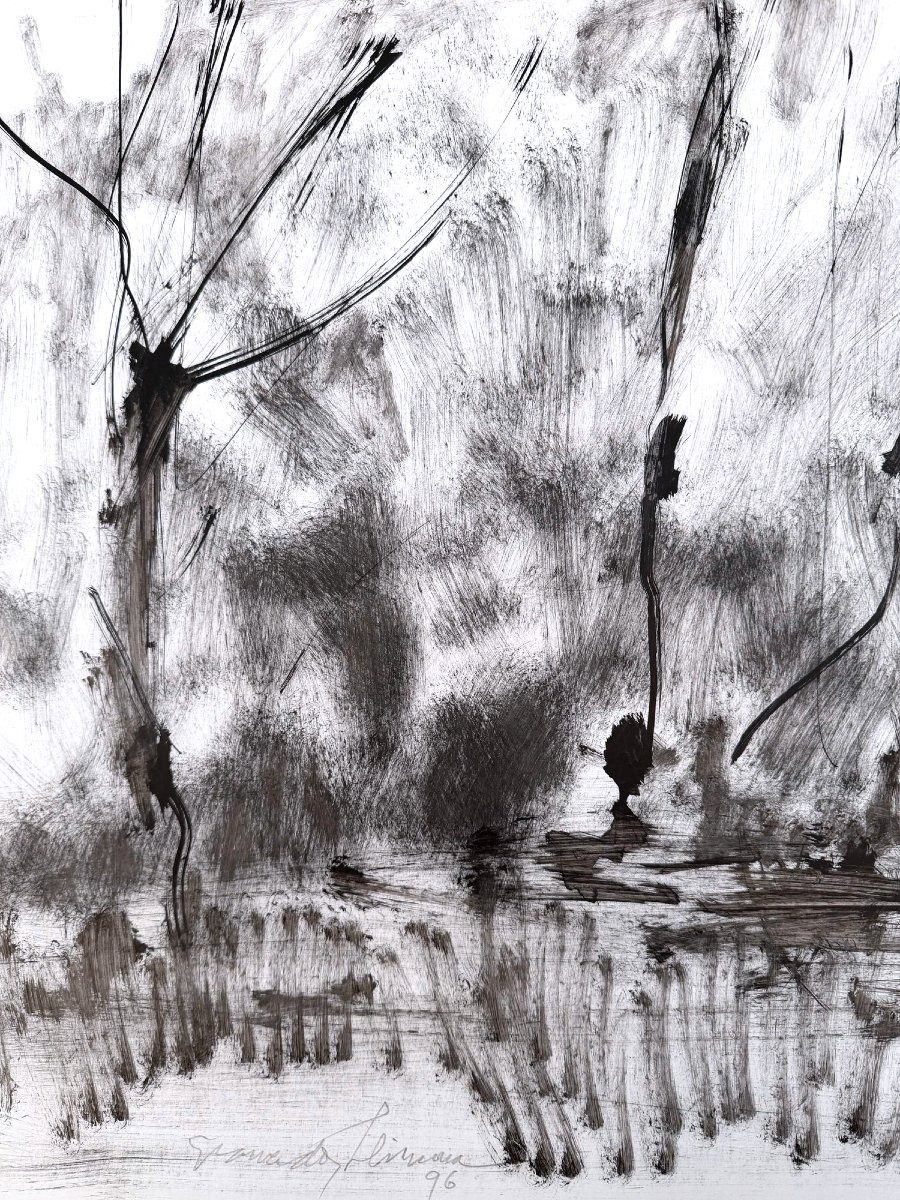 Peinture Technique mixte sur papier de Joan Granados I LLIMONA, 1996  -photo-2