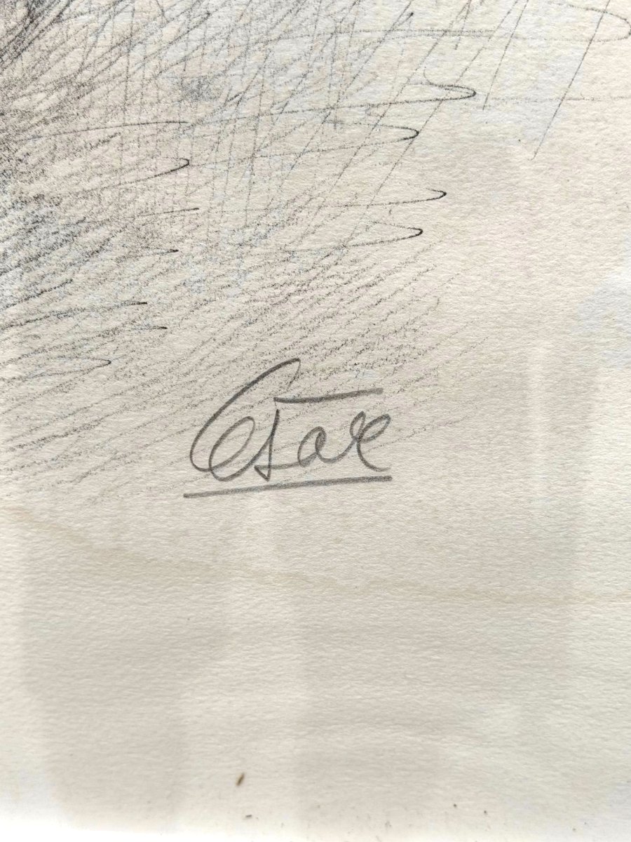 Lithograph "hen With Ears" By César Baldaccini, Known As César (1921–1998), No. 250/300  -photo-1