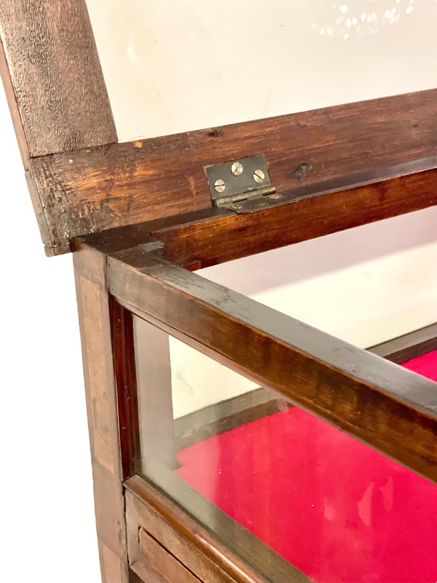 Vitrine en Noyer et Intérieur en Velours Rouge, France 19ème Siècle-photo-5