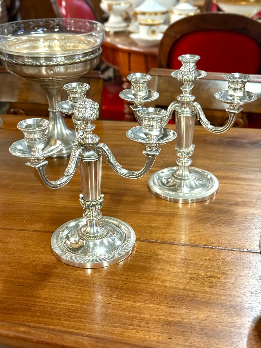 Paire de candélabres Chrysalia français en bronze argenté, début du XXe siècle.-photo-2