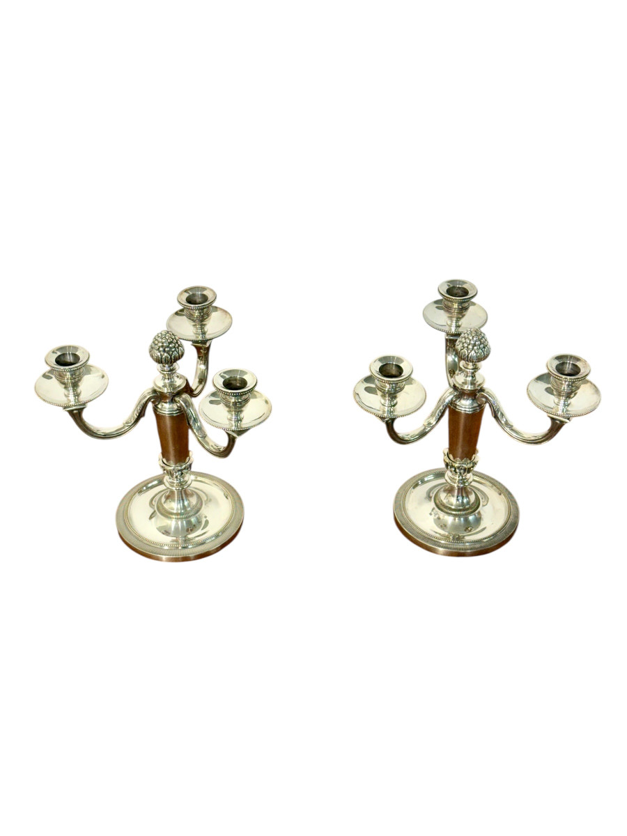 Paire de candélabres Chrysalia français en bronze argenté, début du XXe siècle.-photo-3