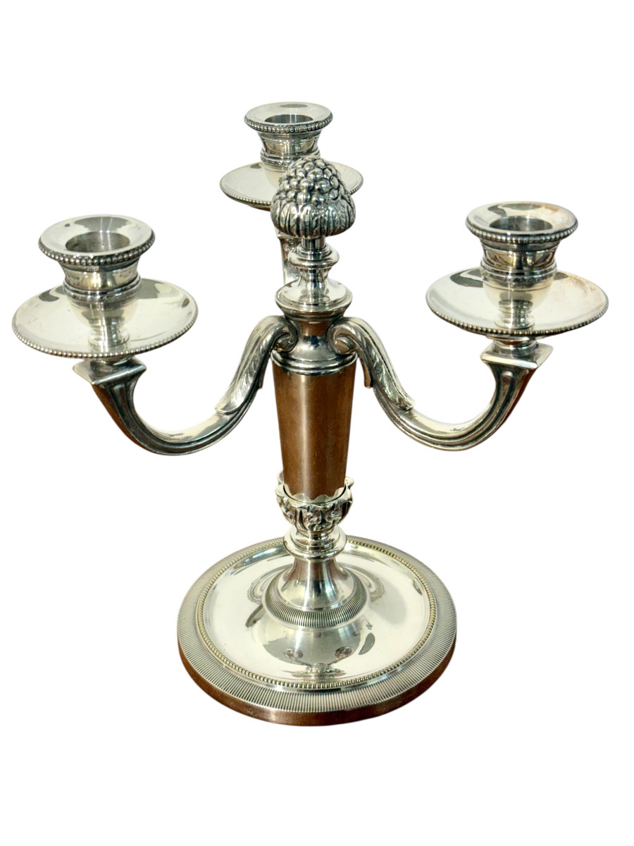 Paire de candélabres Chrysalia français en bronze argenté, début du XXe siècle.-photo-4