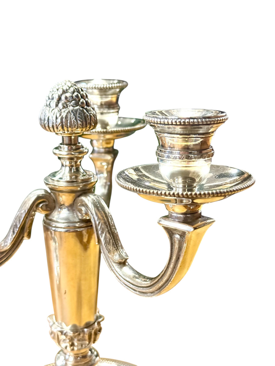 Paire de candélabres Chrysalia français en bronze argenté, début du XXe siècle.-photo-1