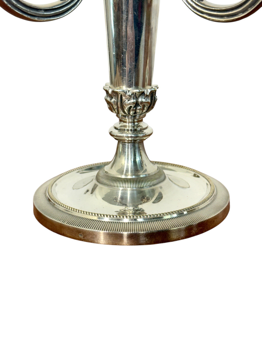 Paire de candélabres Chrysalia français en bronze argenté, début du XXe siècle.-photo-6