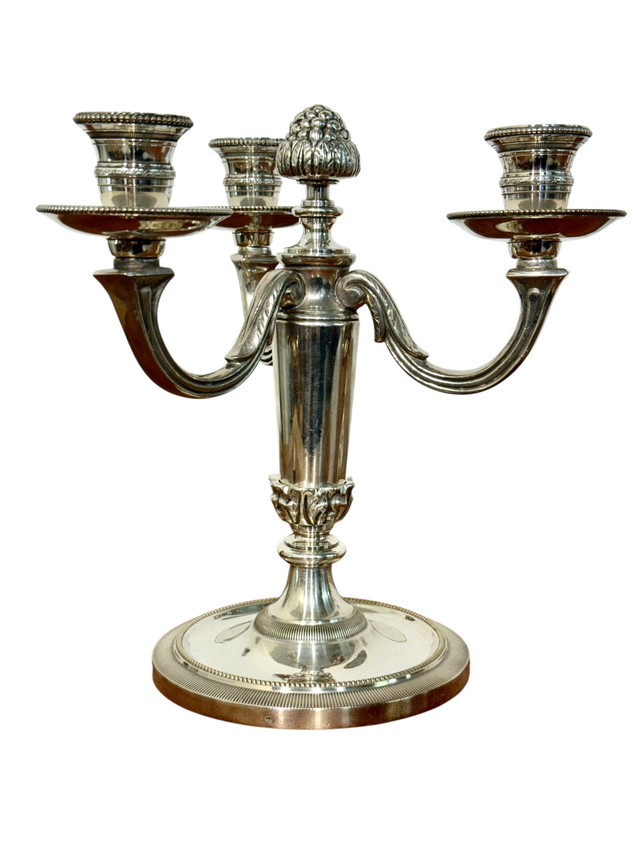 Paire de candélabres Chrysalia français en bronze argenté, début du XXe siècle.-photo-7