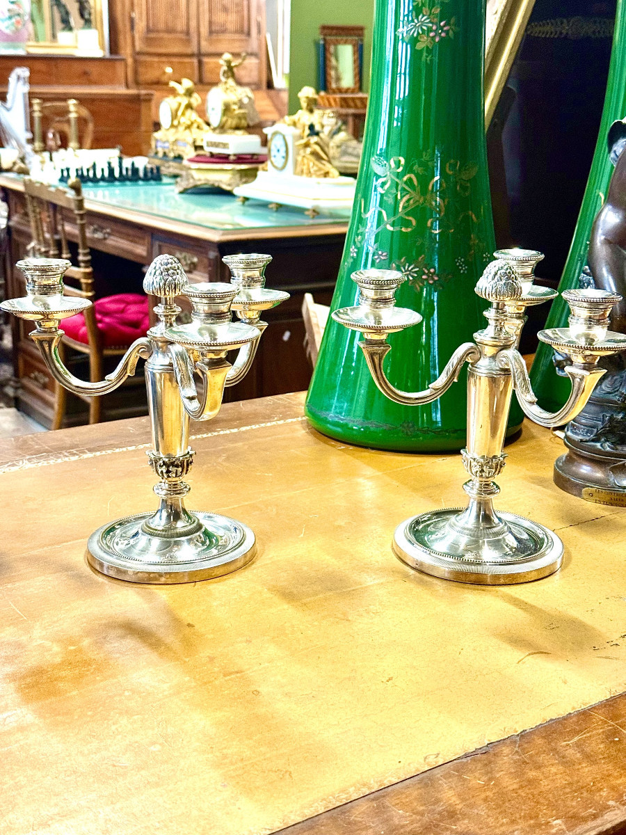 Paire de candélabres Chrysalia français en bronze argenté, début du XXe siècle.-photo-8