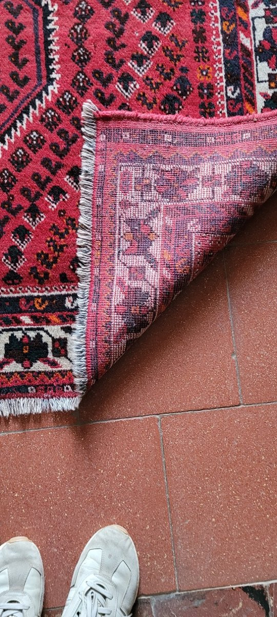 Grand tapis orient laine noué main-photo-4