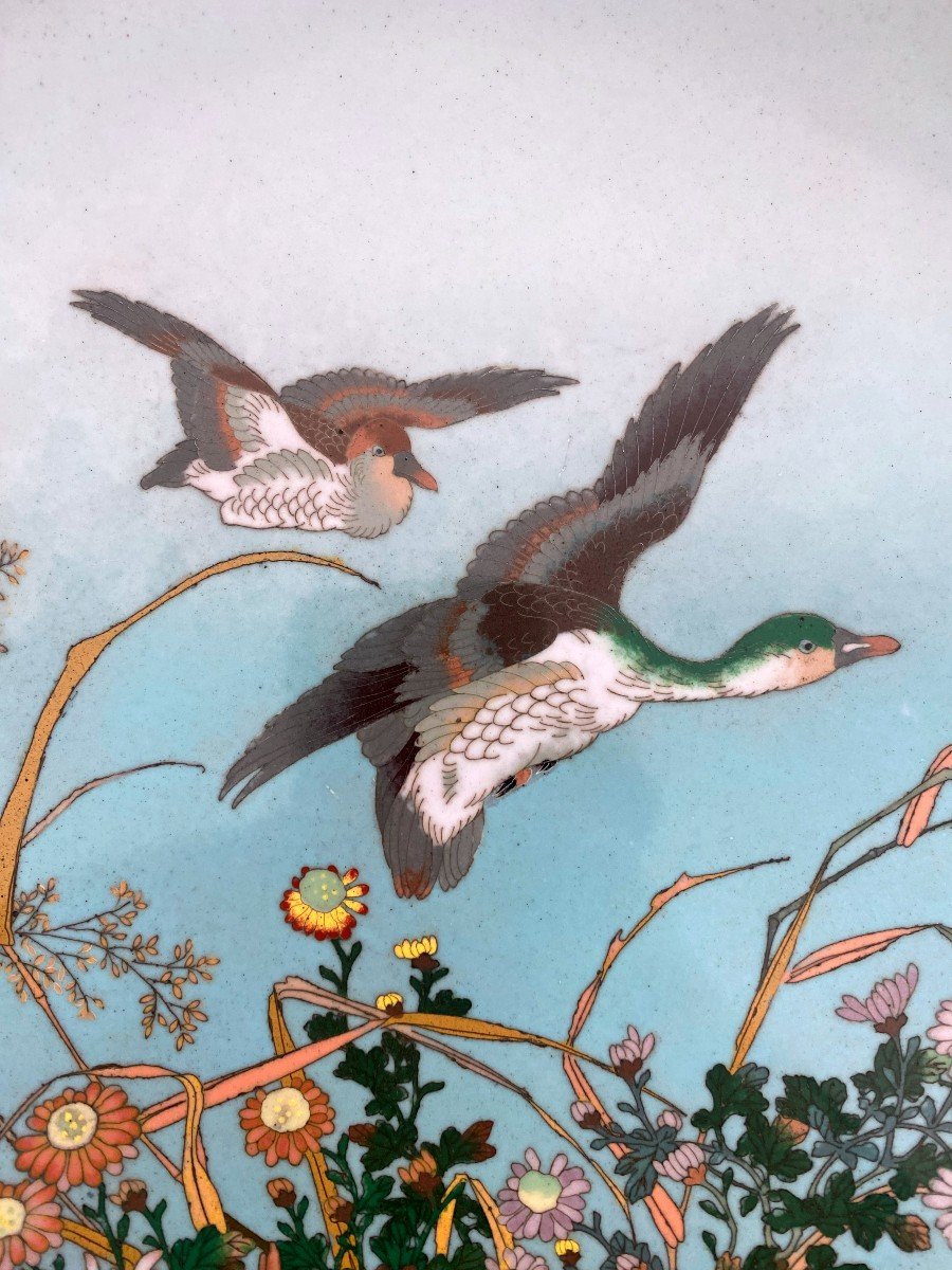 Rare Japanese Meiji Cloisonne Dish Decorated With Ducks / Gooses-photo-2