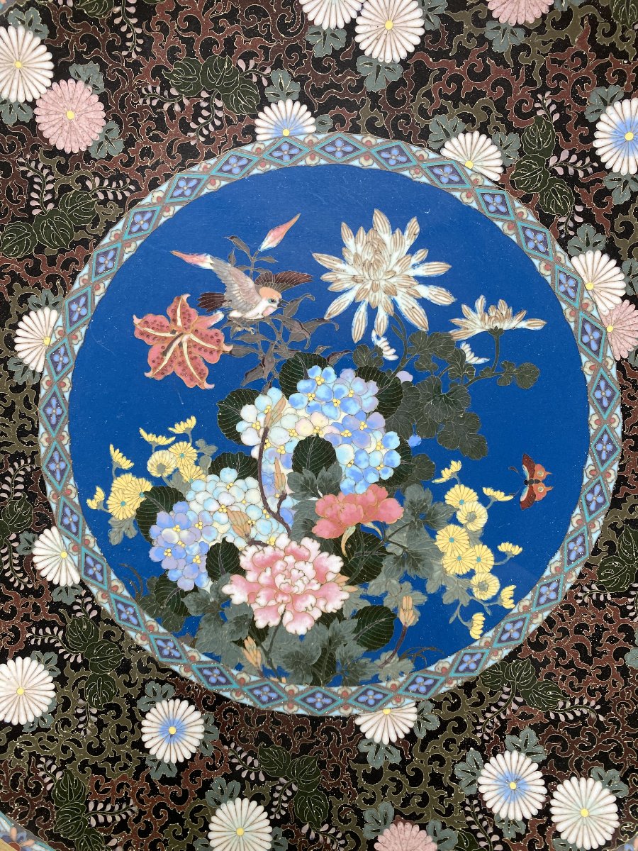 Grand plat émail cloisonné Japon période Meiji -photo-2
