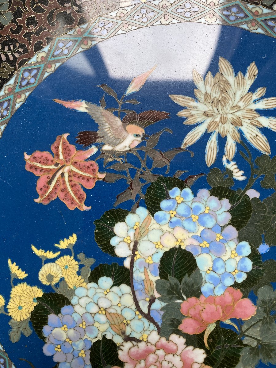 Grand plat émail cloisonné Japon période Meiji -photo-3