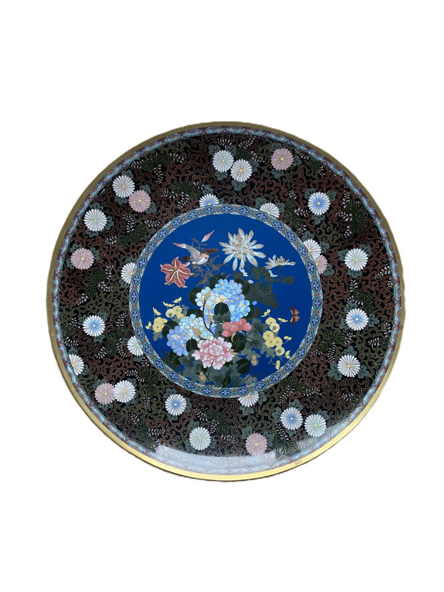 Grand plat émail cloisonné Japon période Meiji 