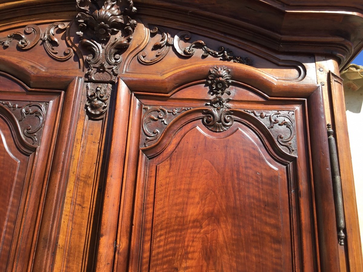Lyonnaise Regency Castle Wardrobe 18th Century-photo-4