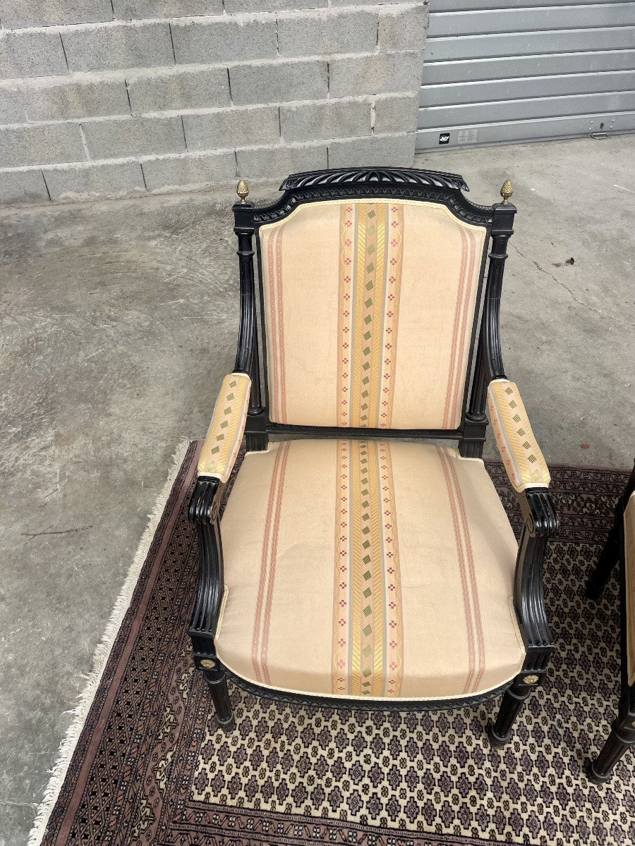 Pair Of Louis XVI Napoleon III Armchairs, 19th Century -photo-3