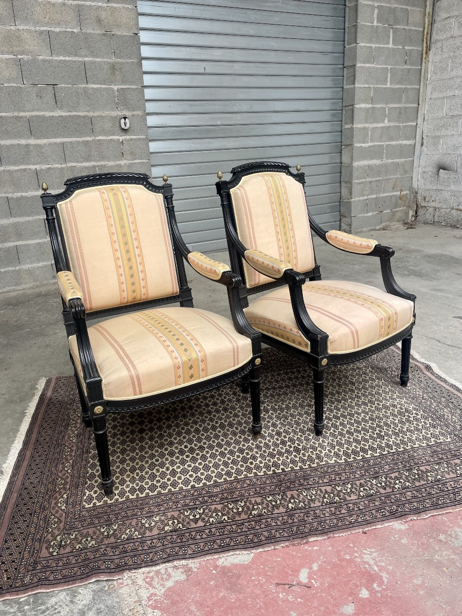 Pair Of Louis XVI Napoleon III Armchairs, 19th Century -photo-2