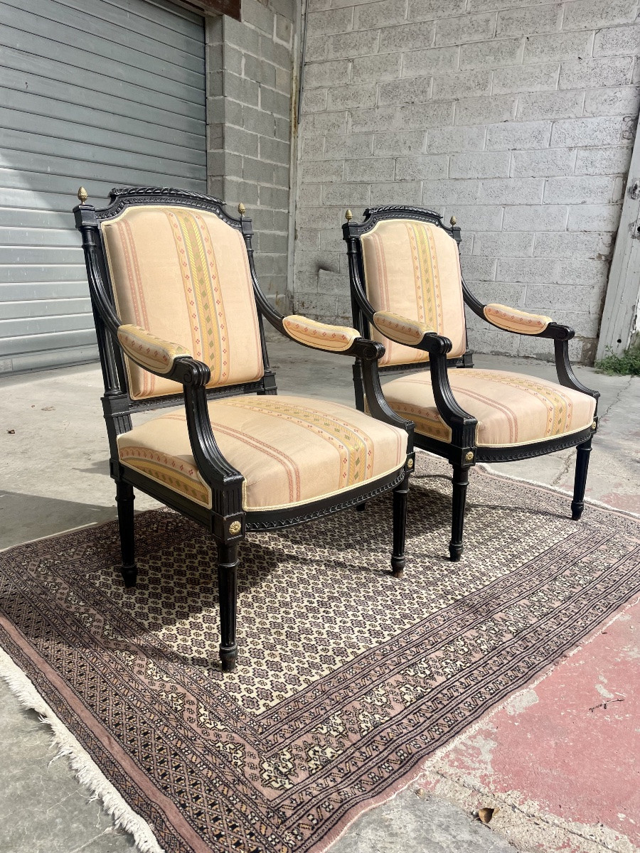 Pair Of Louis XVI Napoleon III Armchairs, 19th Century -photo-4