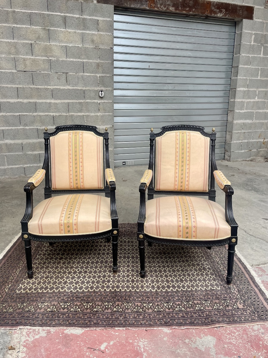 Pair Of Louis XVI Napoleon III Armchairs, 19th Century 