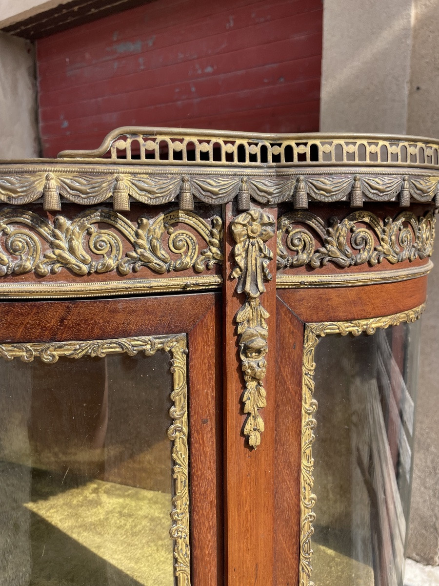 Louis XV Napoleon III Display Case, 19th Century -photo-4