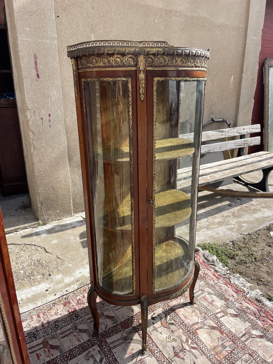 Louis XV Napoleon III Display Case, 19th Century -photo-6
