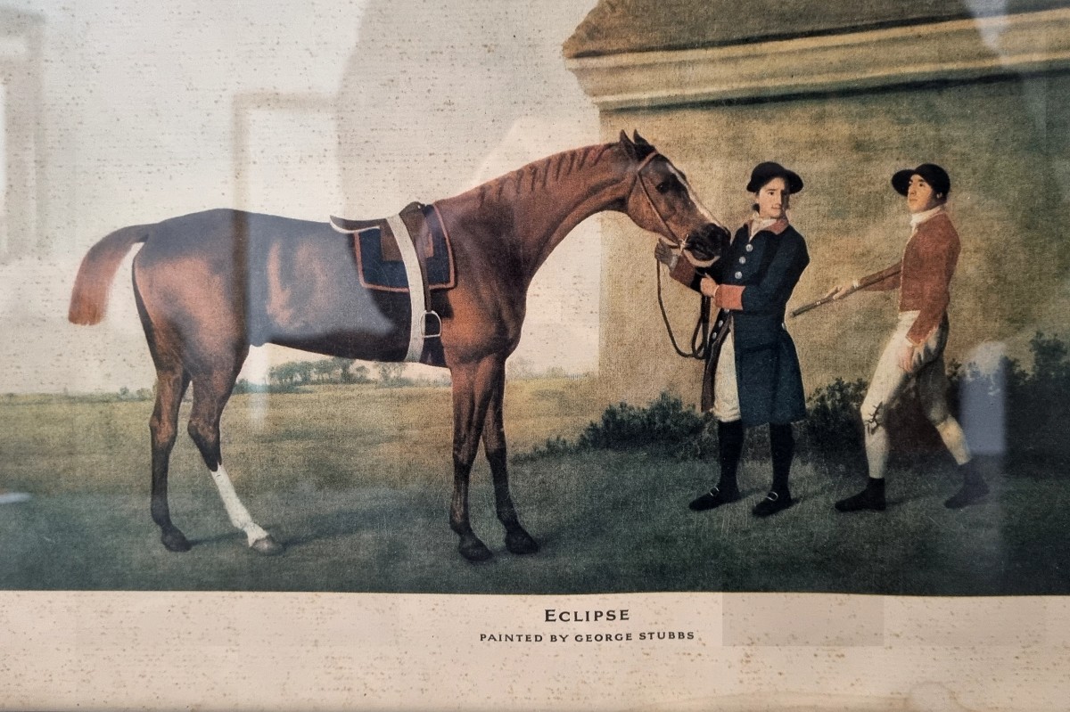 Paire de lithographie équestre époque XIXé -photo-3