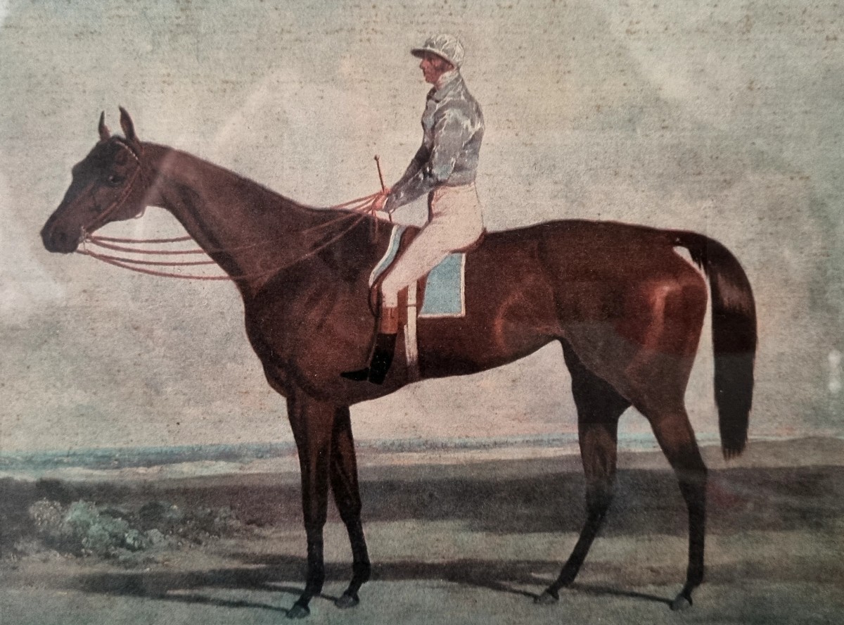 Paire de lithographie équestre époque XIXé -photo-2