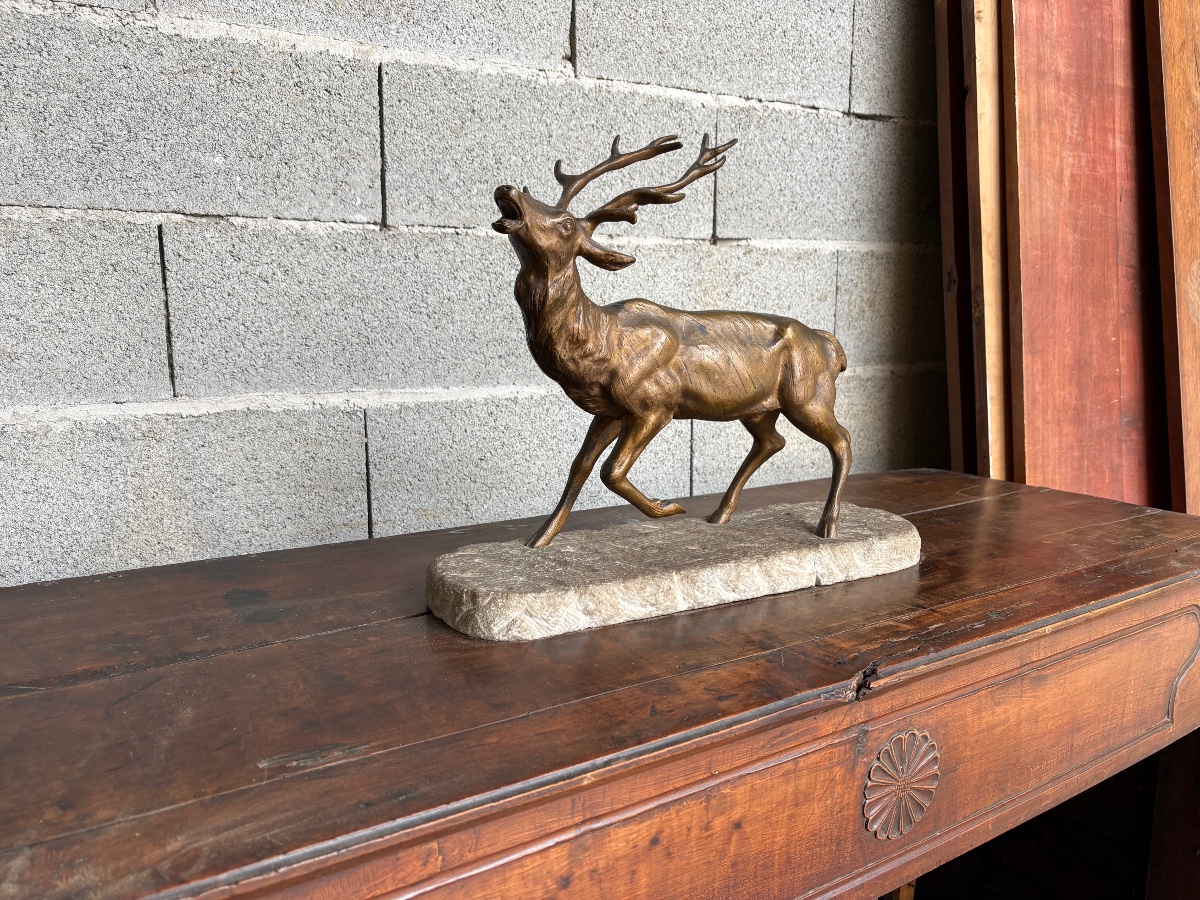 Cerf bramant en bronze, signé de Fiesole sur socle en pierre  fin 19e siècle-photo-4