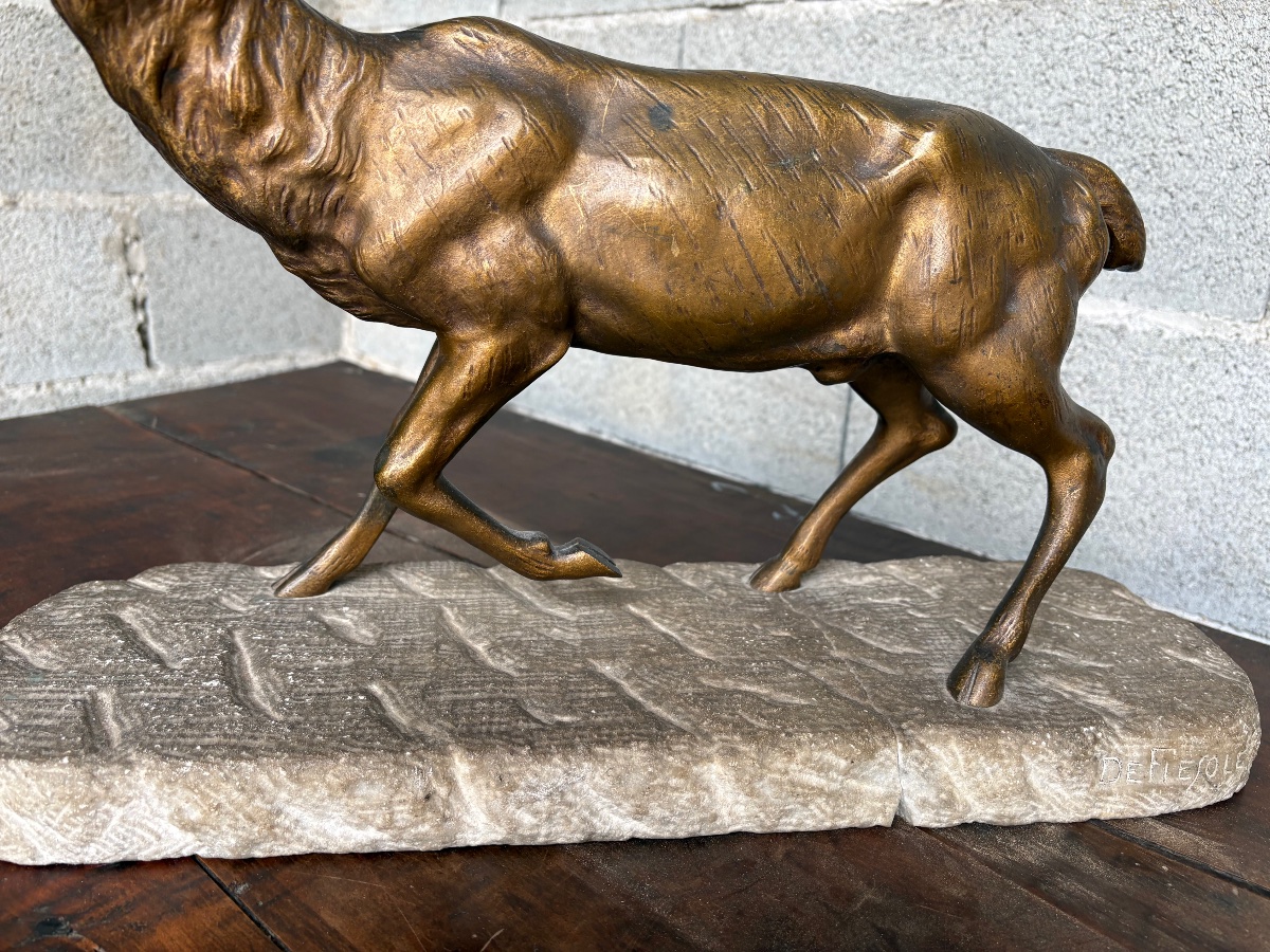 Cerf bramant en bronze, signé de Fiesole sur socle en pierre  fin 19e siècle-photo-8