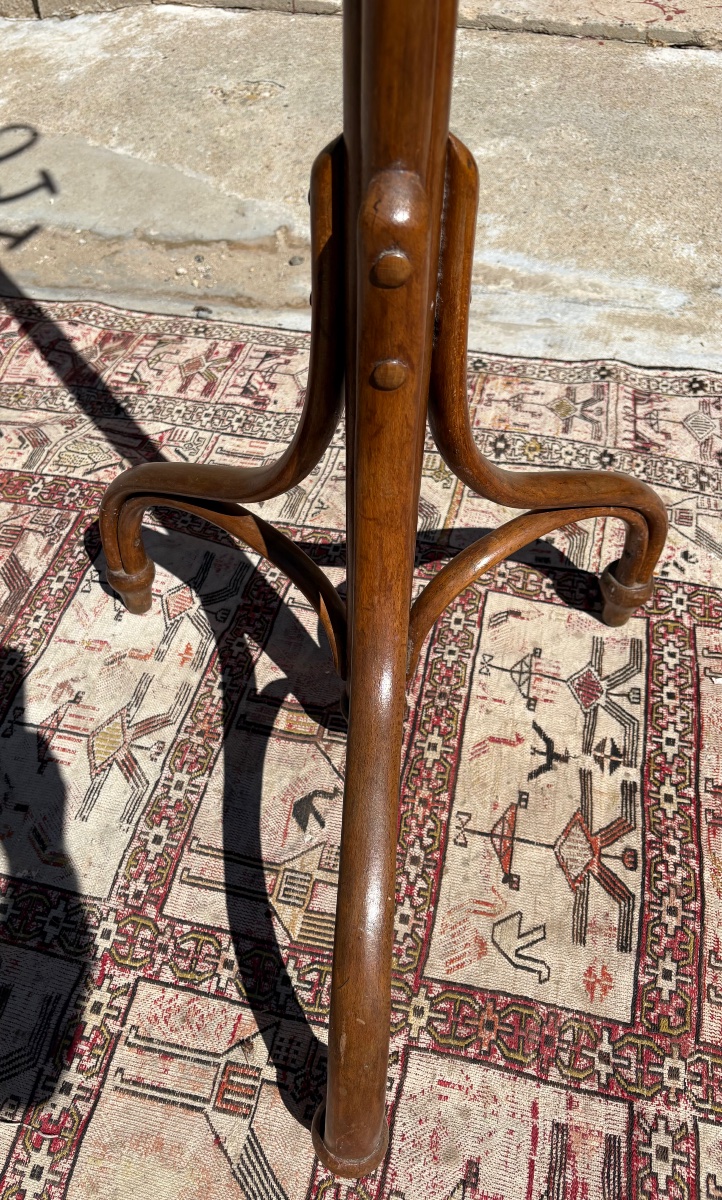 Portemanteau perroquet en bois, courbé, circa, 1900-photo-3