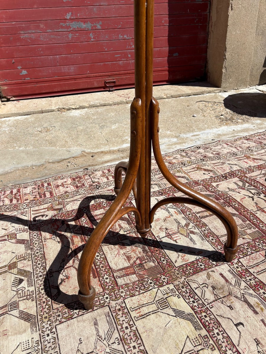 Portemanteau perroquet en bois, courbé, circa, 1900-photo-4