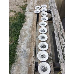 12. Plates Of Sarreguemines From Each Month Of The Year. 19th Century 