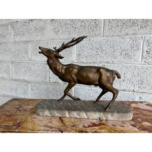 Cerf bramant en bronze, signé de Fiesole sur socle en pierre  fin 19e siècle