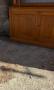1783034-alb-6a397b4fc766a.jpg