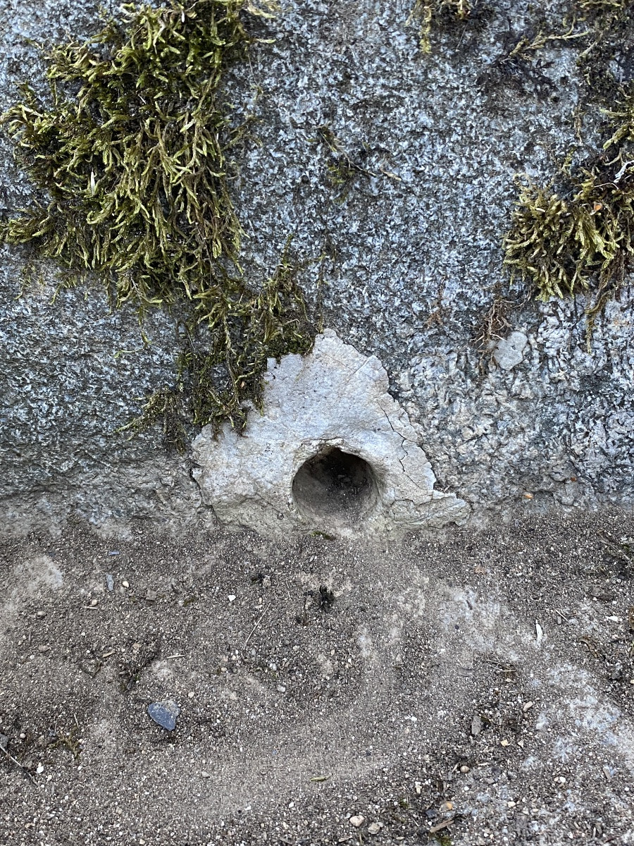 Limousin Sandstone Trough, 18th Century-photo-3