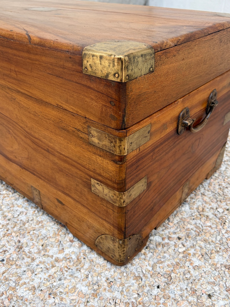 19th-century Camphor Wood Sea Chest-photo-1