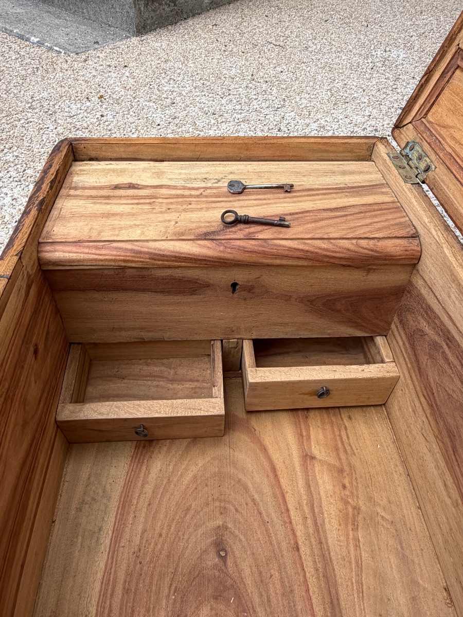 19th-century Camphor Wood Sea Chest-photo-8