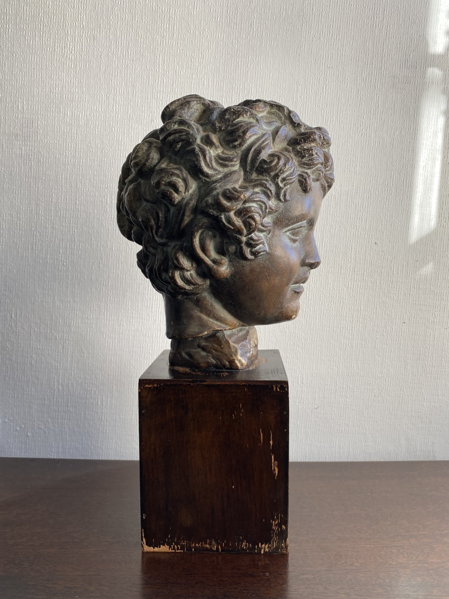 Tête à l'Antique En Plâtre XX ème siècle -photo-4