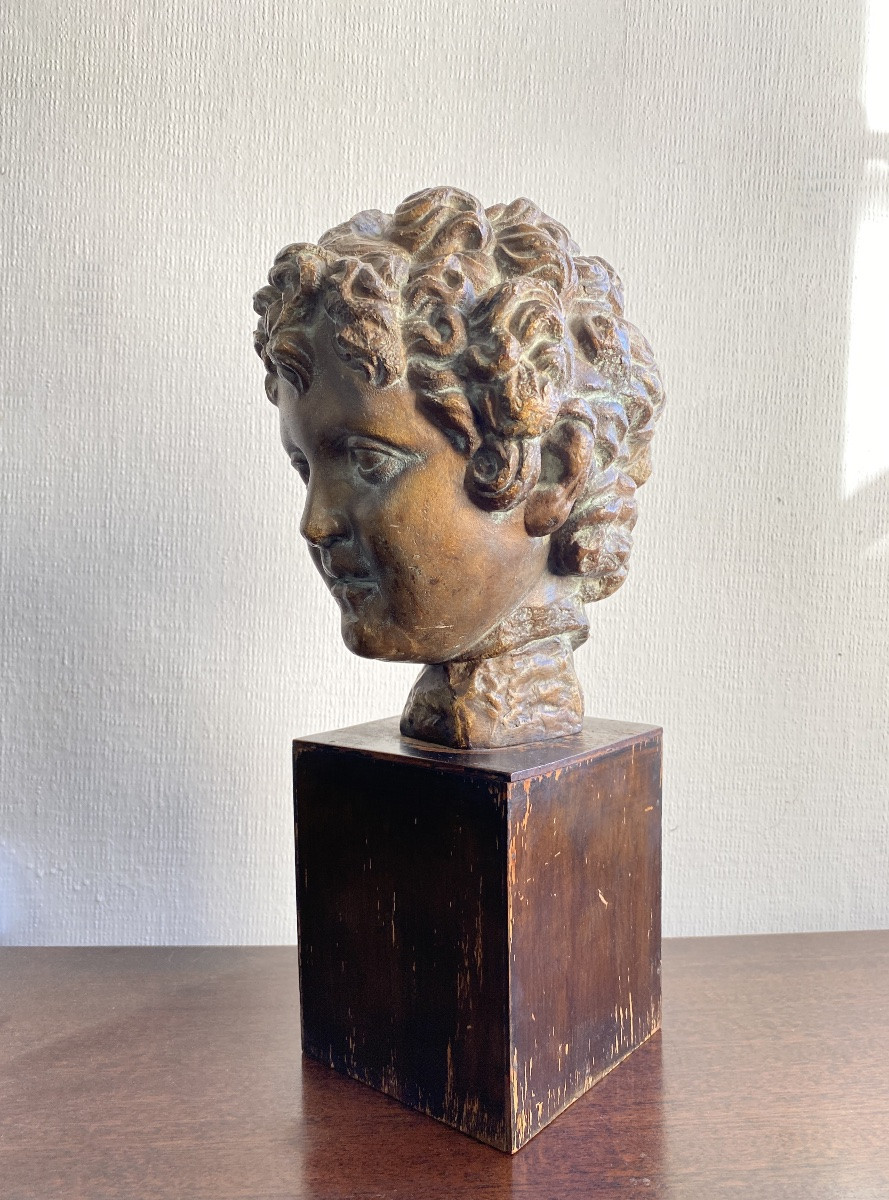 Tête à l'Antique En Plâtre XX ème siècle -photo-3