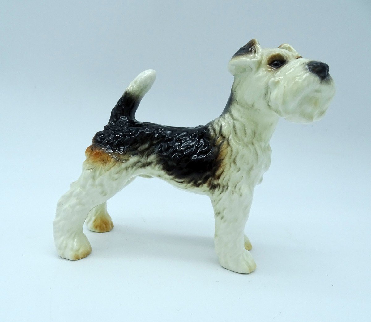 Fox Terrier Goebel Years 60/70