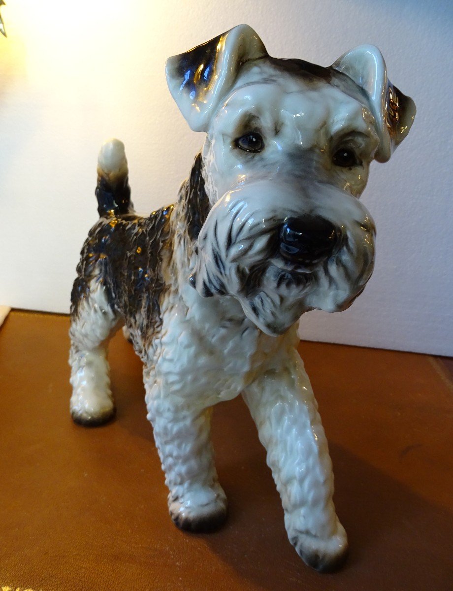 Large Fox Terrier In Porcelain Years 50/60-photo-3