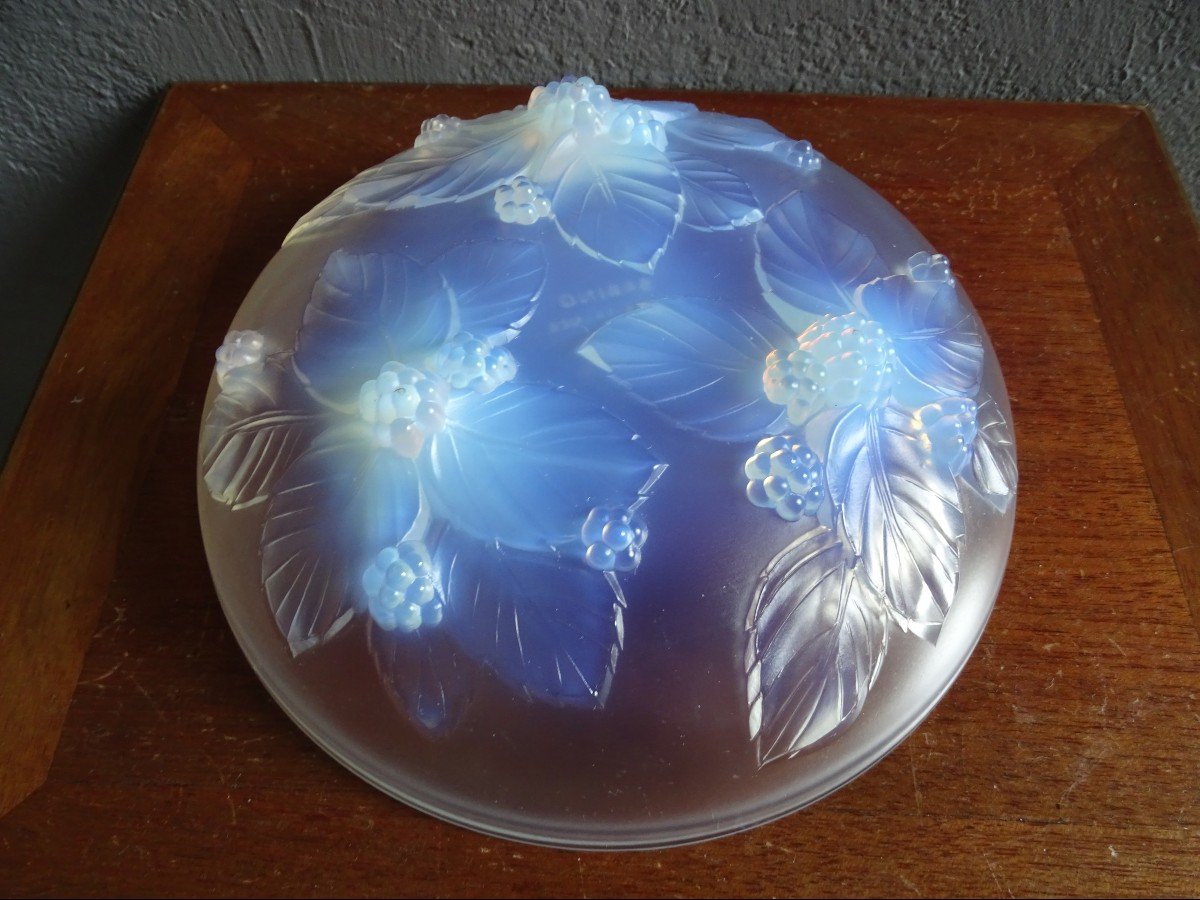 Coupe En Verre Opalescent Sabino 1930-photo-2