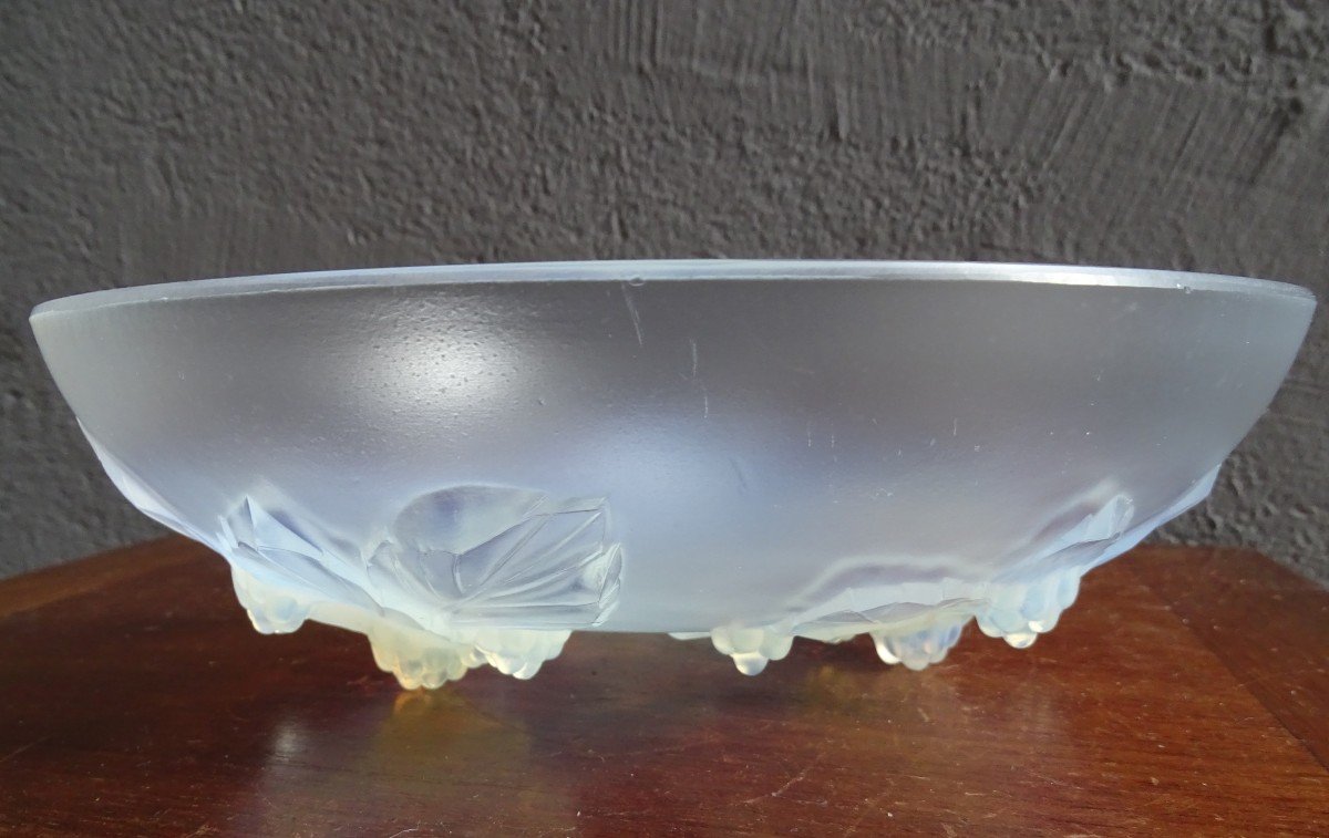Coupe En Verre Opalescent Sabino 1930-photo-2