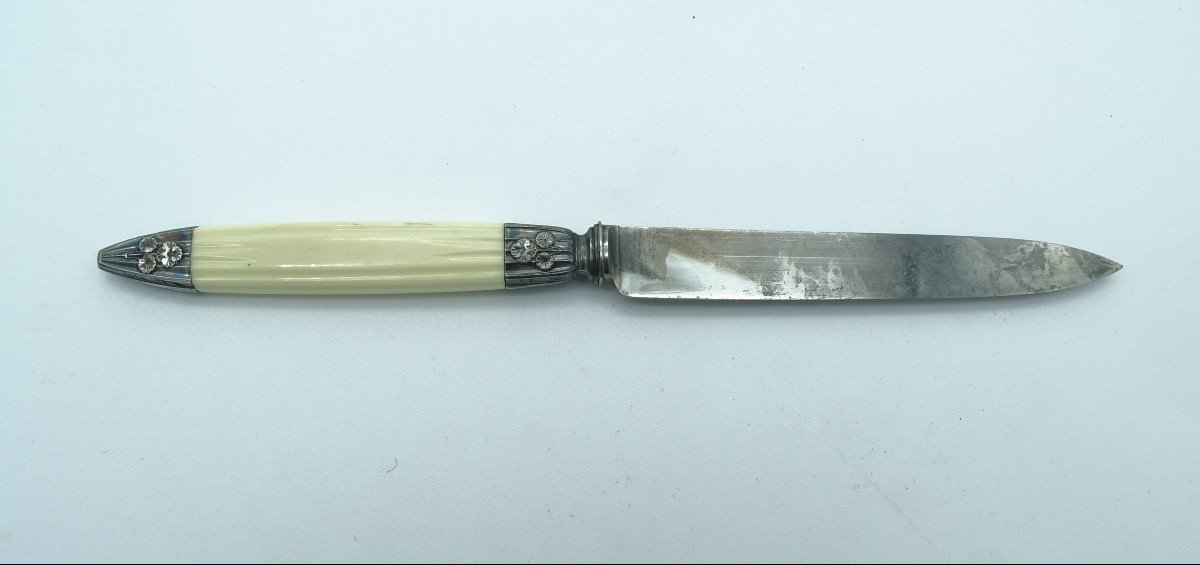 Cardeilhac 16 Couteaux à Dessert Manche ivoire 1920/1930-photo-2