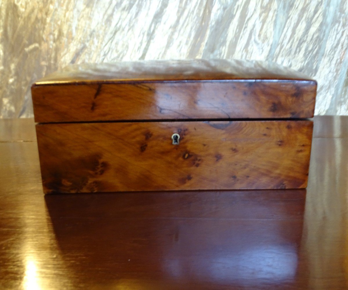 Thuya Burl Box Napoleon III-photo-2