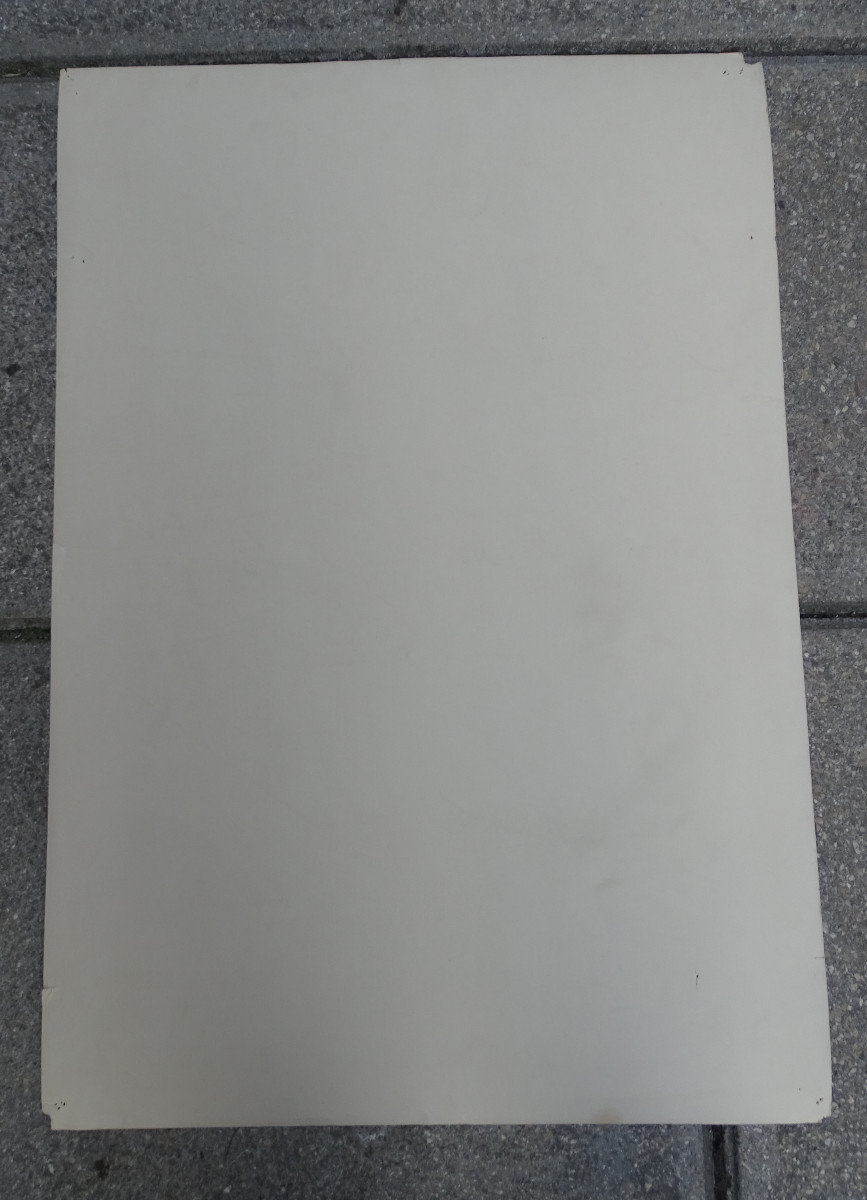 Matisse affiche  bocal aux poissons rouges 1959-photo-2