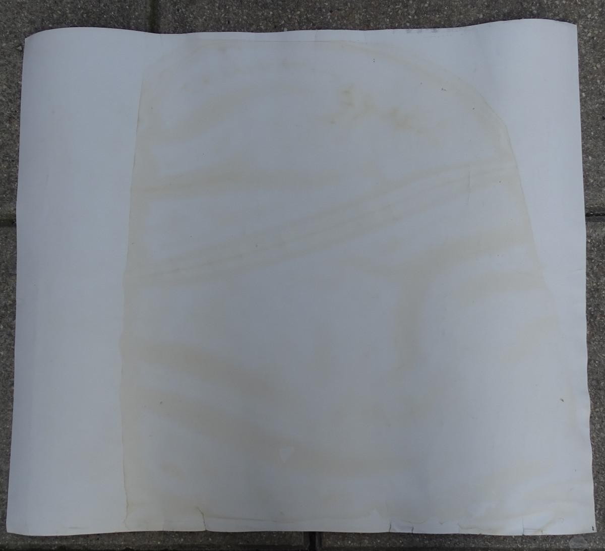 Affiche de Matisse Le Grand Atelier -photo-2