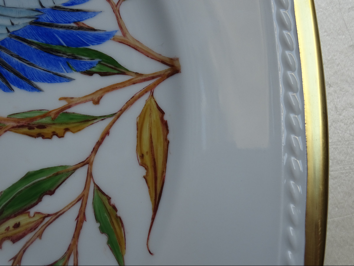 German Porcelain Dish With Parrots 1980/1990s-photo-3