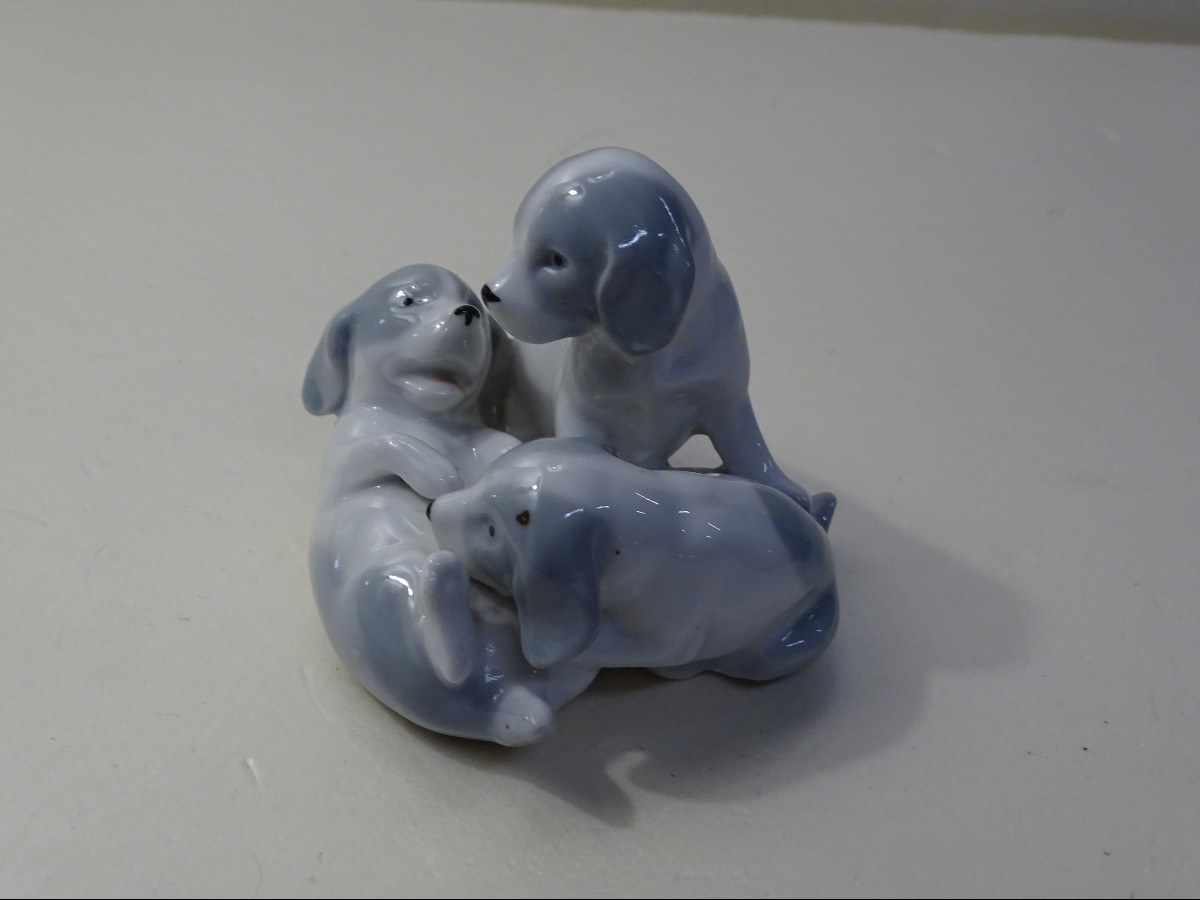 Group Of 3 Puppies Playing-photo-2