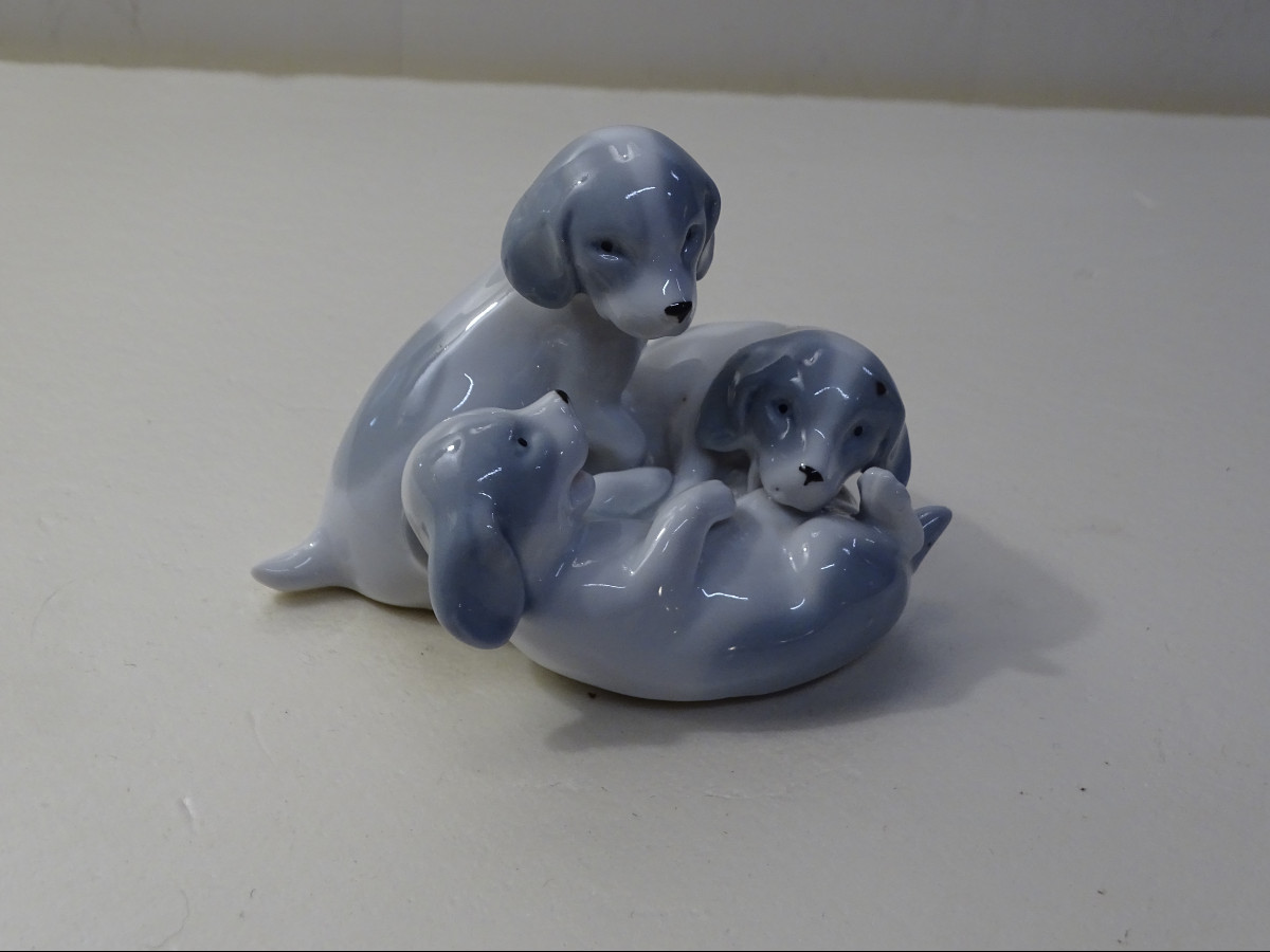 Group Of 3 Puppies Playing