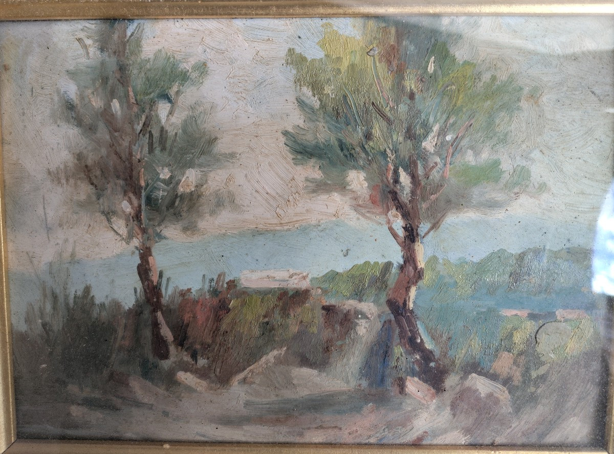 Paysage Méditerranéen -photo-2