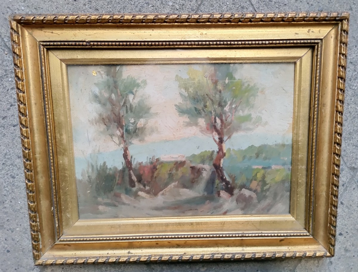 Paysage Méditerranéen 